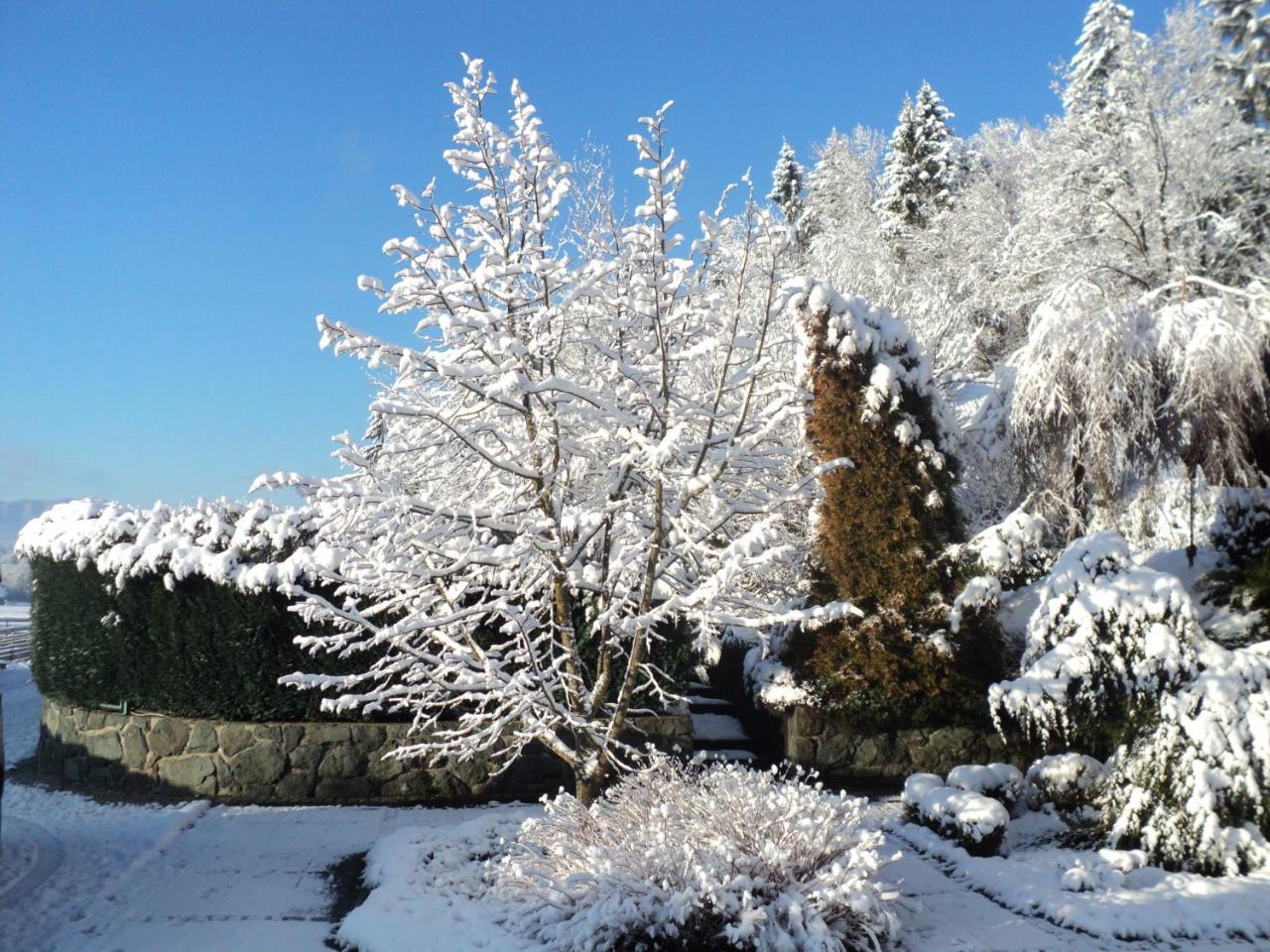 Pr'Simi Bed & Breakfast Golnik Bagian luar foto